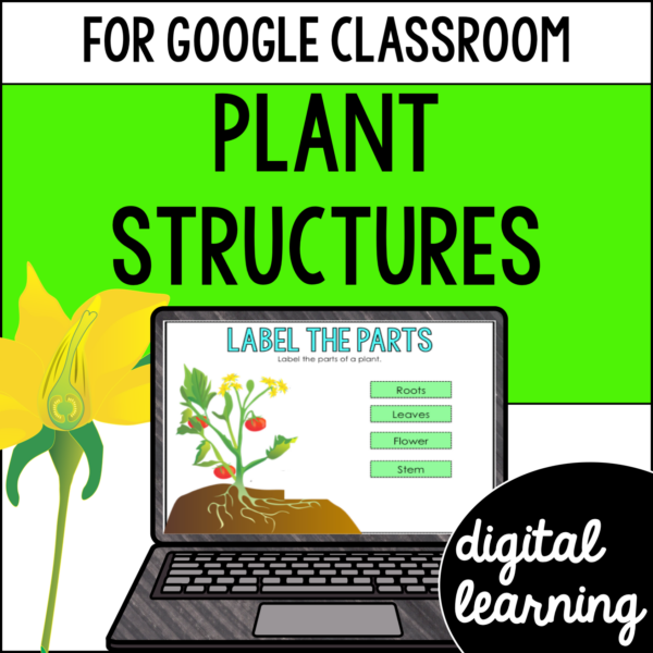 Parts & Structure of a Plant Activities & Reading Passages for Google Classroom