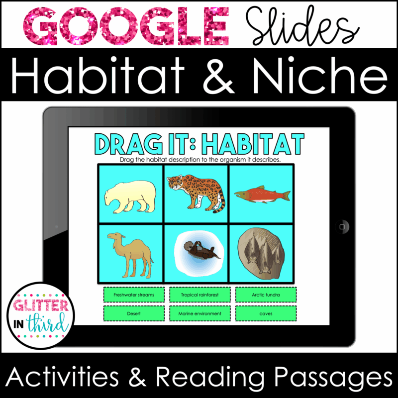 habitat niche