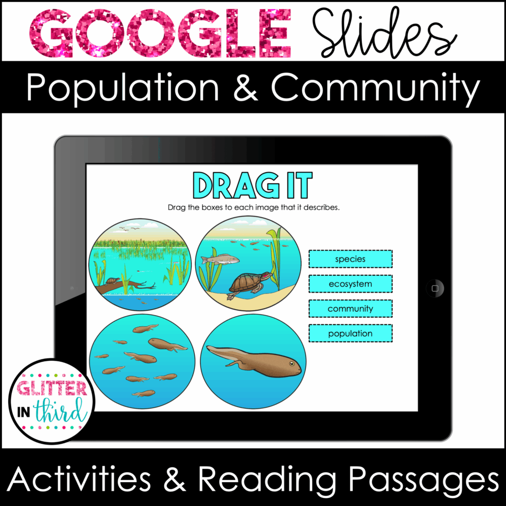 Community, Population, & Ecosystems Activities & Reading Passages for ...
