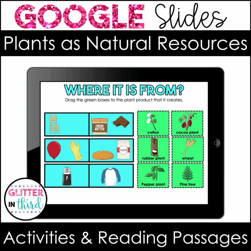 plants natural resources 2nd science sol