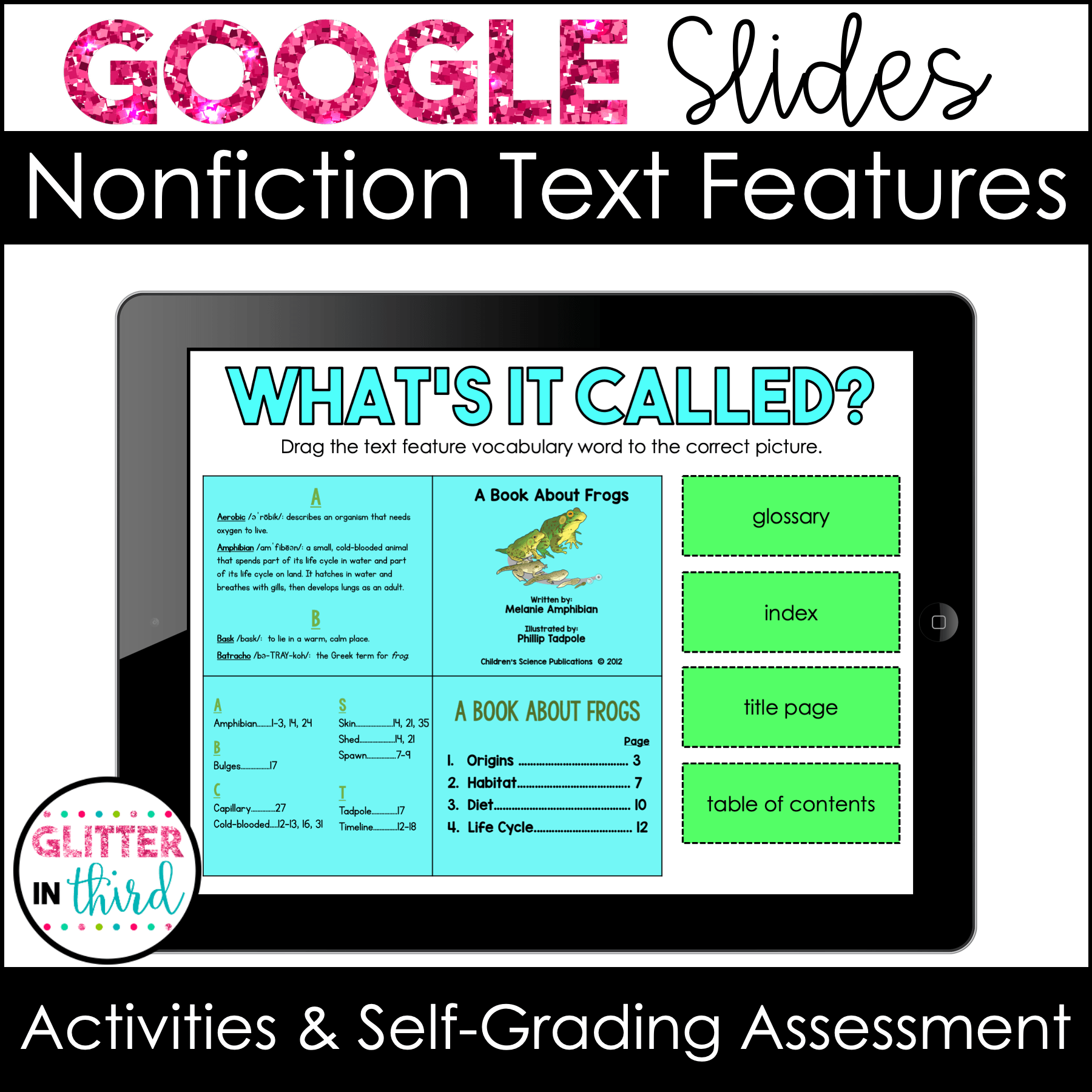 nonfiction text features 3rd