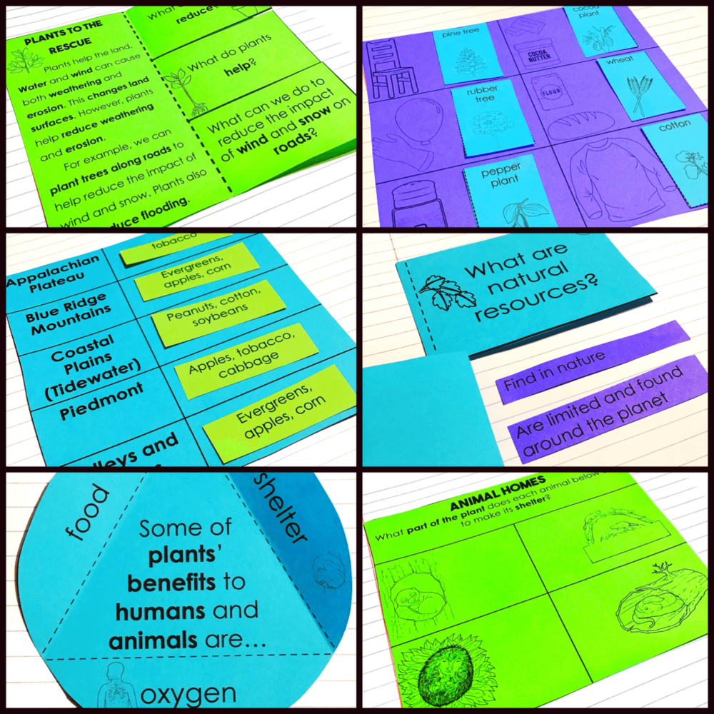 2nd Grade Plants as Resources in Virginia Activities Interactive ...