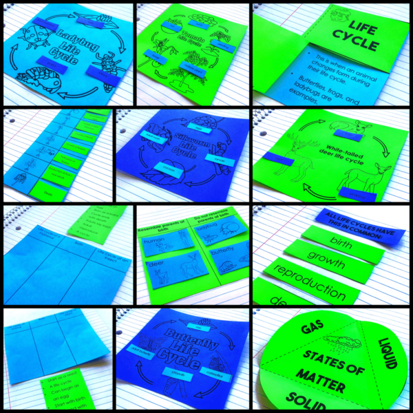 2nd Grade Animal & Plant Life Cycles Activities Interactive Notebook