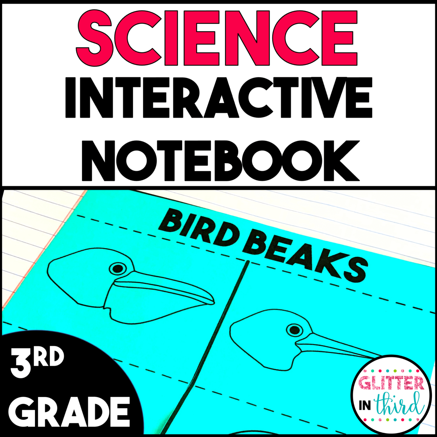 3rd Grade Science Interactive Notebook Activities Bundle - Glitter in Third