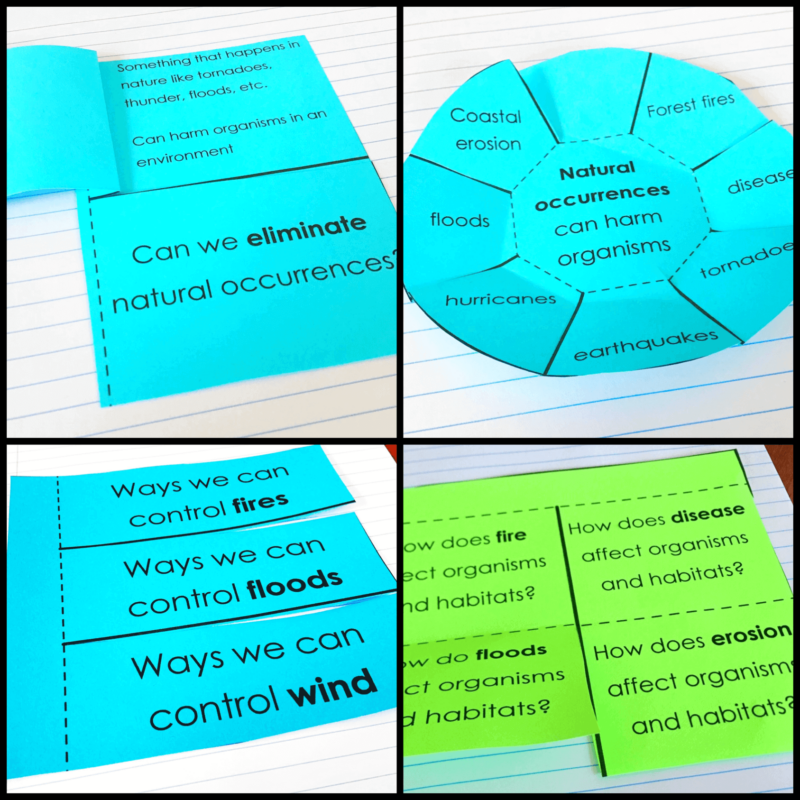 Human Impact & Conservation Interactive Notebook SOL 3.8 - Glitter in Third