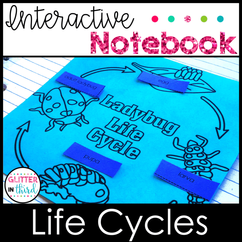 life cycles 2nd grade science sol