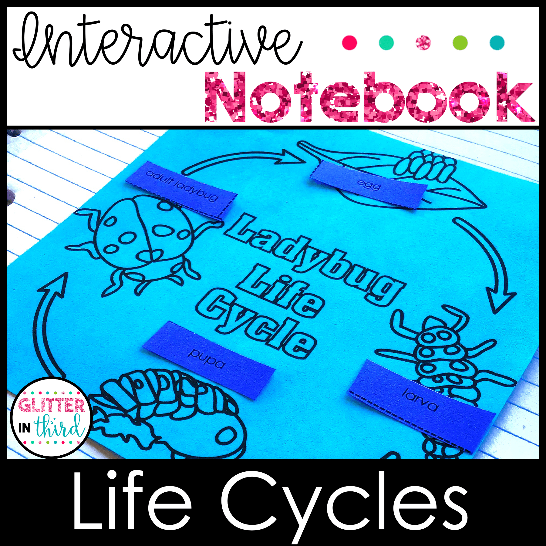 life cycles 2nd grade science sol