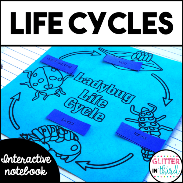 2nd Grade Animal & Plant Life Cycles Activities Interactive Notebook
