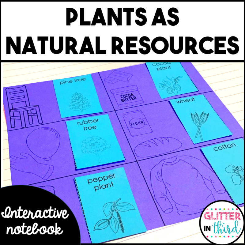 2nd Grade Plants as Resources in Virginia Activities Interactive Notebook