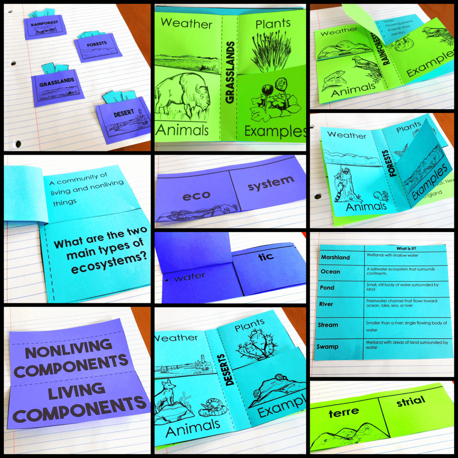 3rd Grade Ecosystems Activities Interactive Notebook - Glitter in Third