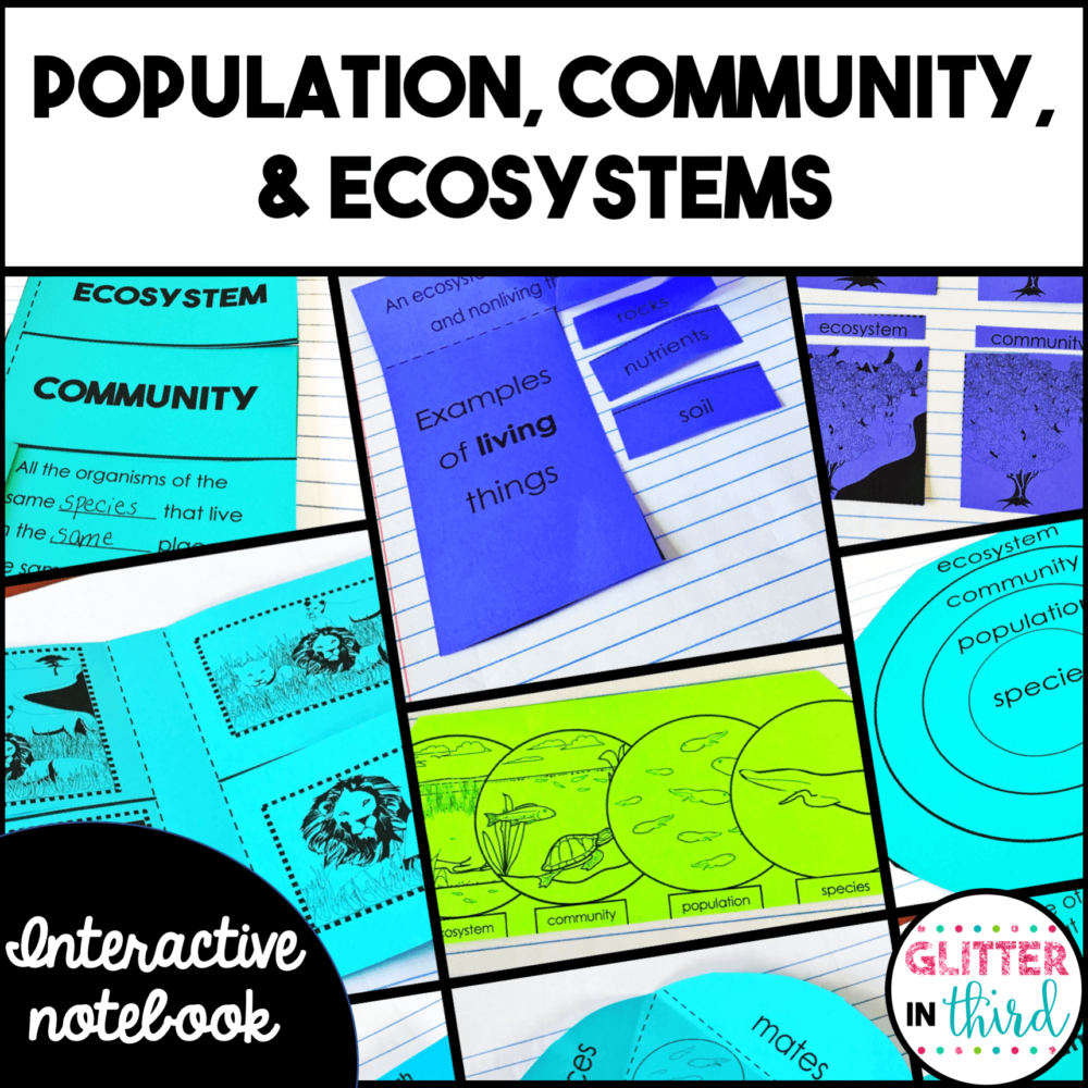 Population, Community, & Ecosystems Activities Interactive Notebook ...