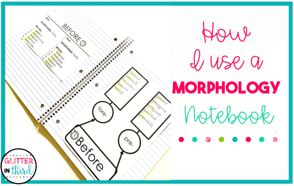 how i use morphology notebook