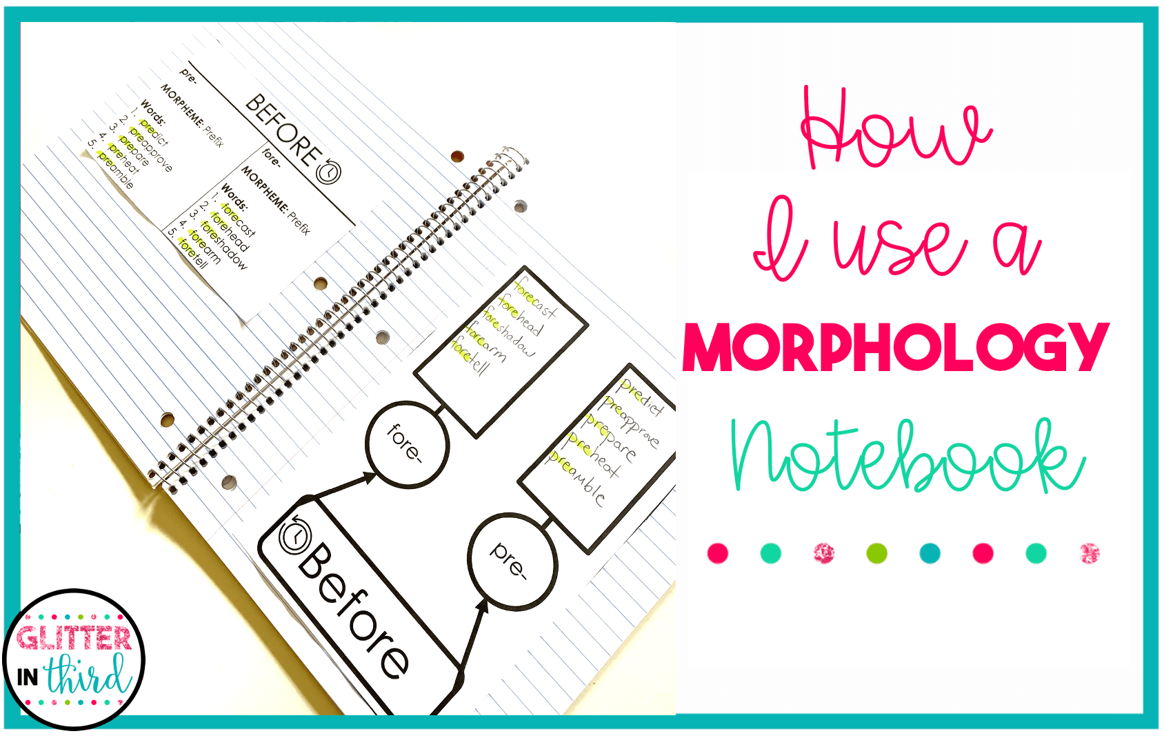 how i use morphology notebook