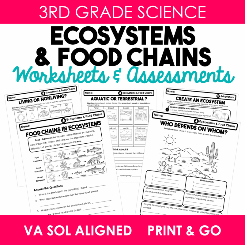 3rd Grade Ecosystems Worksheets & Food Chain Activities | Virginia SOL 3.5